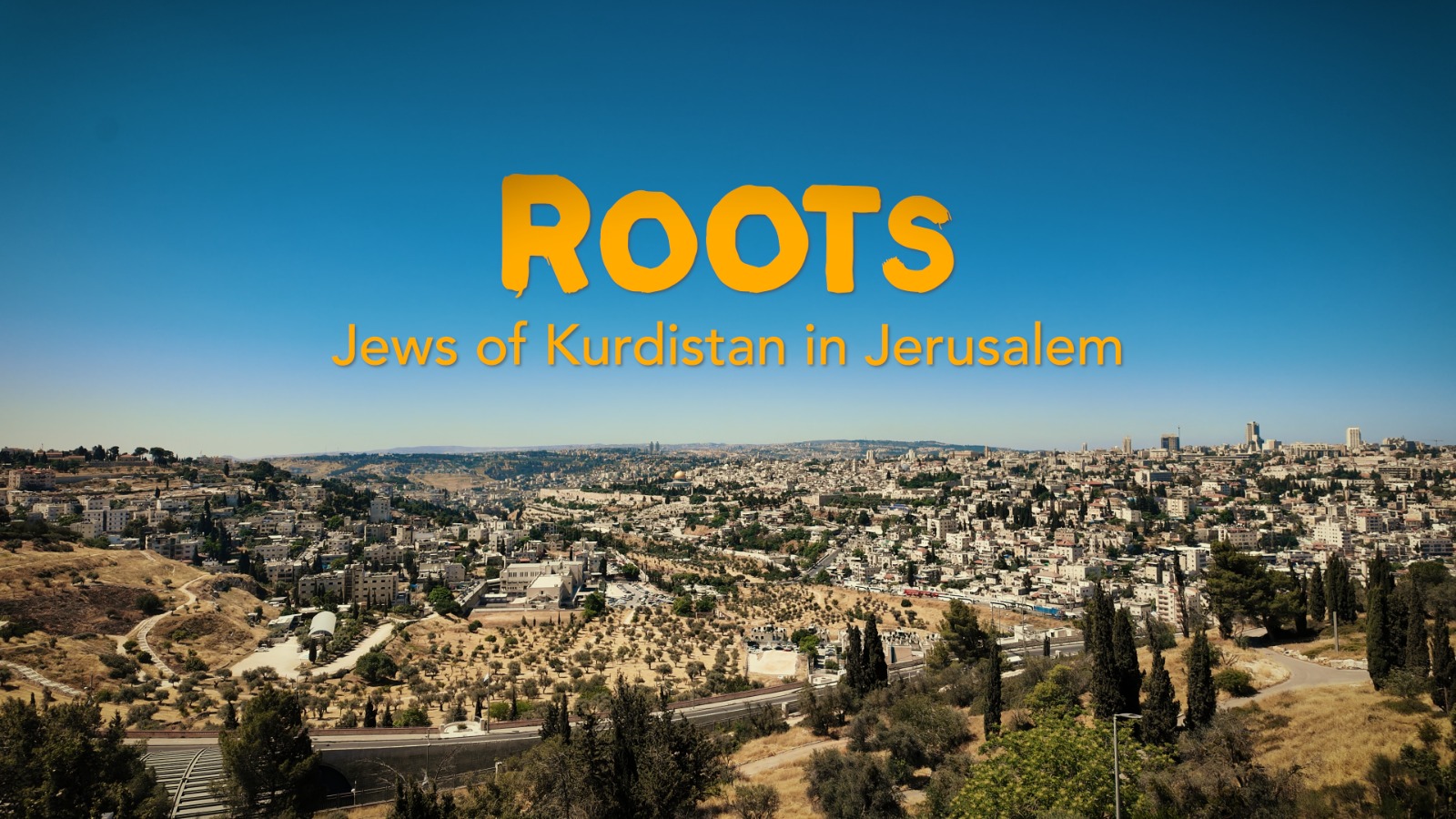 Roots